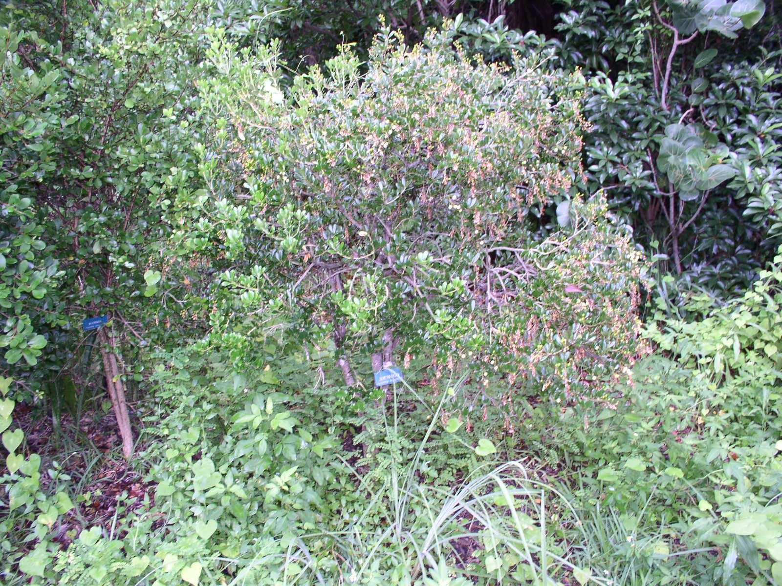 photo1